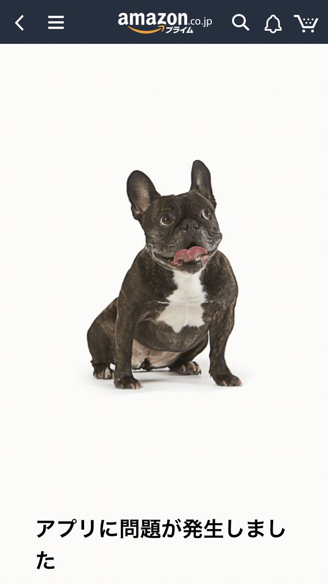 Amazonエラー犬コレクション Togetter