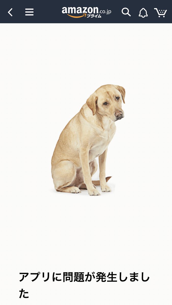 Amazonエラー犬コレクション Togetter Amazonエラー犬コレクション Togetter