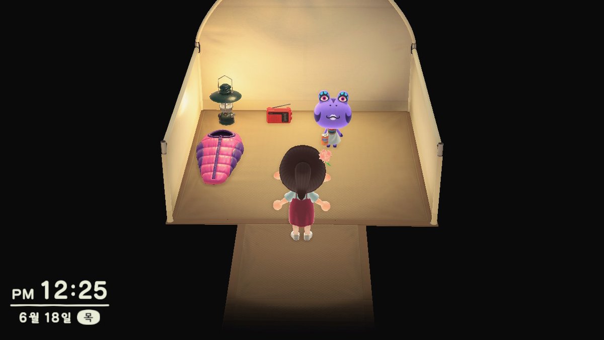 dreaming__sol's tweet photo. ?????? #동물의숲 #AnimalCrossing #ACNH #NintendoSwitch https://t.co/N56A733MUm