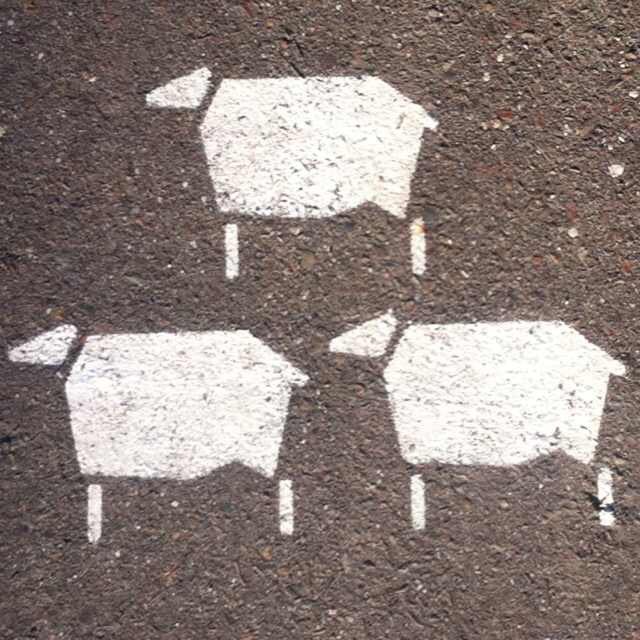 #PhotosOfMyLife 7/7: Profil &amp; Erinnerung. Danke an <a href="/TobiasBringmann/">Tobias Bringmann 🇪🇺🌈🏳️‍⚧️</a> für die Nominierung. Das war toll! Ich gebe gern weiter und nominiere <a href="/MartinHeindl2/">Martin Heindl</a>. Viel Spaß!