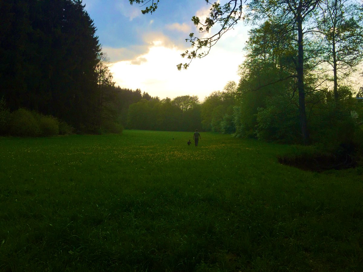 Malcolm_Dorian's tweet photo. Green countryside in Baden-Württemberg 🇩🇪 #vineyard 🍇 https://t.co/5MPc4h2MU8