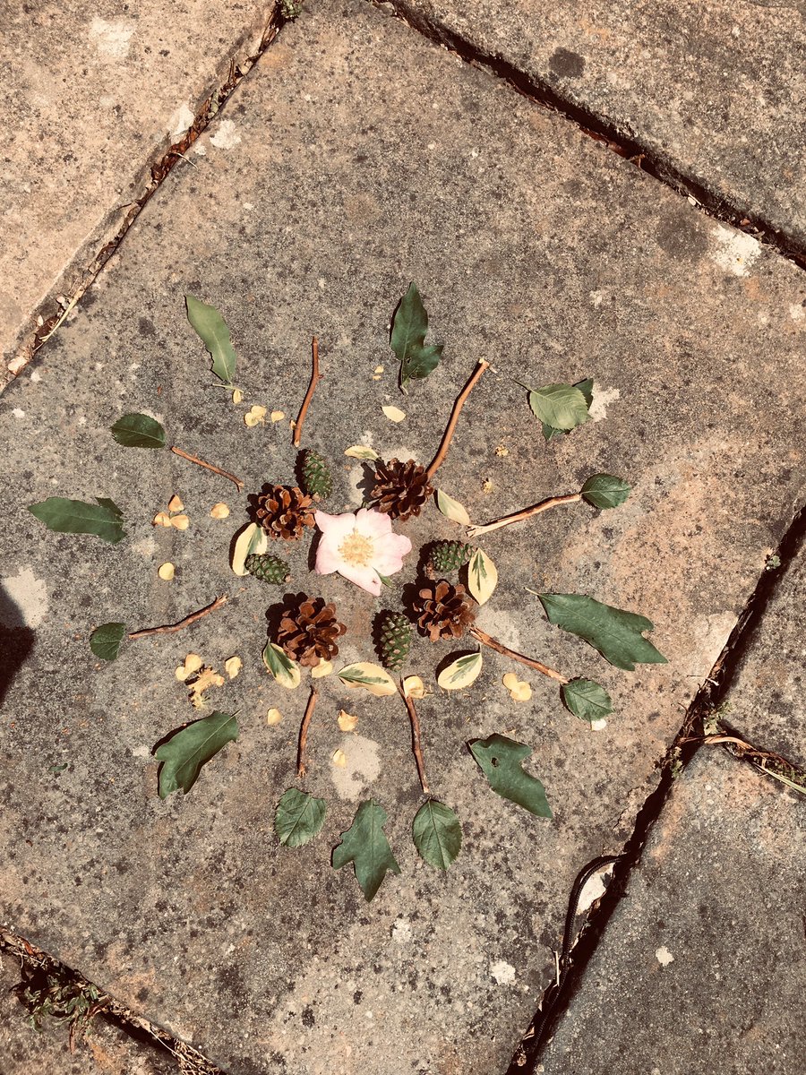 EviSenu's tweet photo. Senudi’s nature mandala @MissDaviesDBPS @MrCapener https://t.co/JUHlCRw7Kd