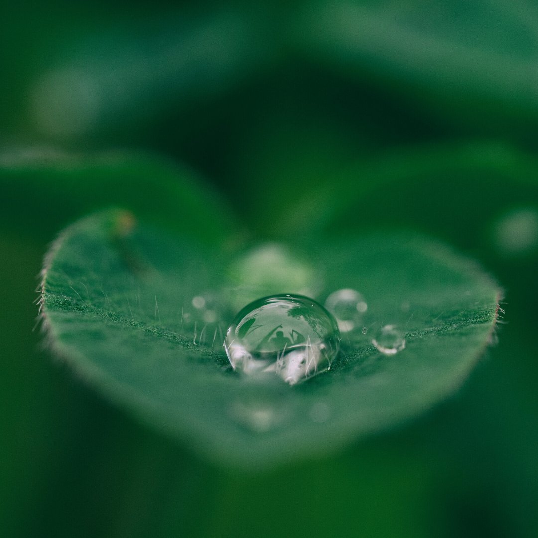 The Time Repair Corporation tweet media