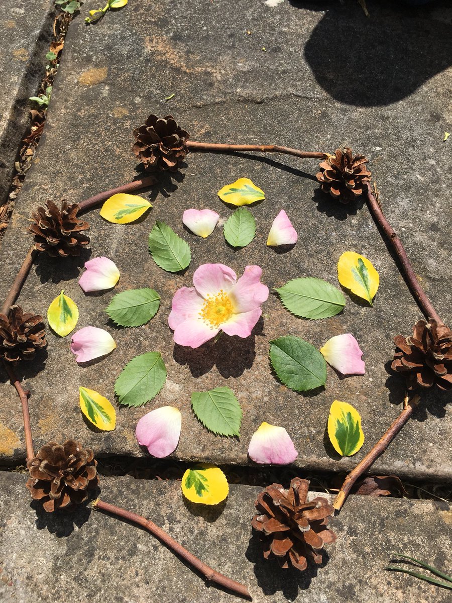 EviSenu's tweet photo. Being outside today Evin made this nature mandala @MissDaviesDBPS @MrCapener @DawleyBrookPri https://t.co/MtgALQNFYT
