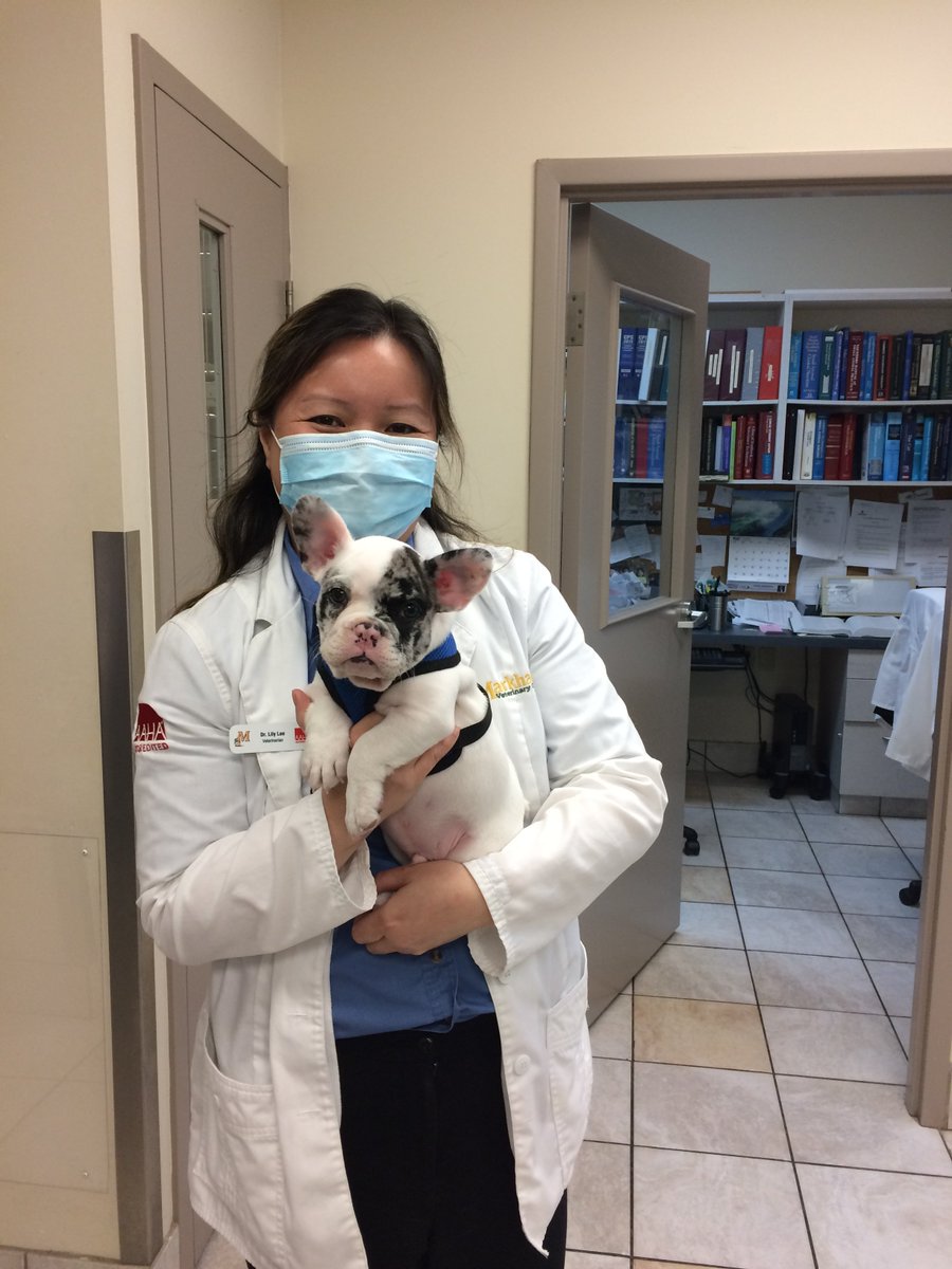 markham veterinary clinic