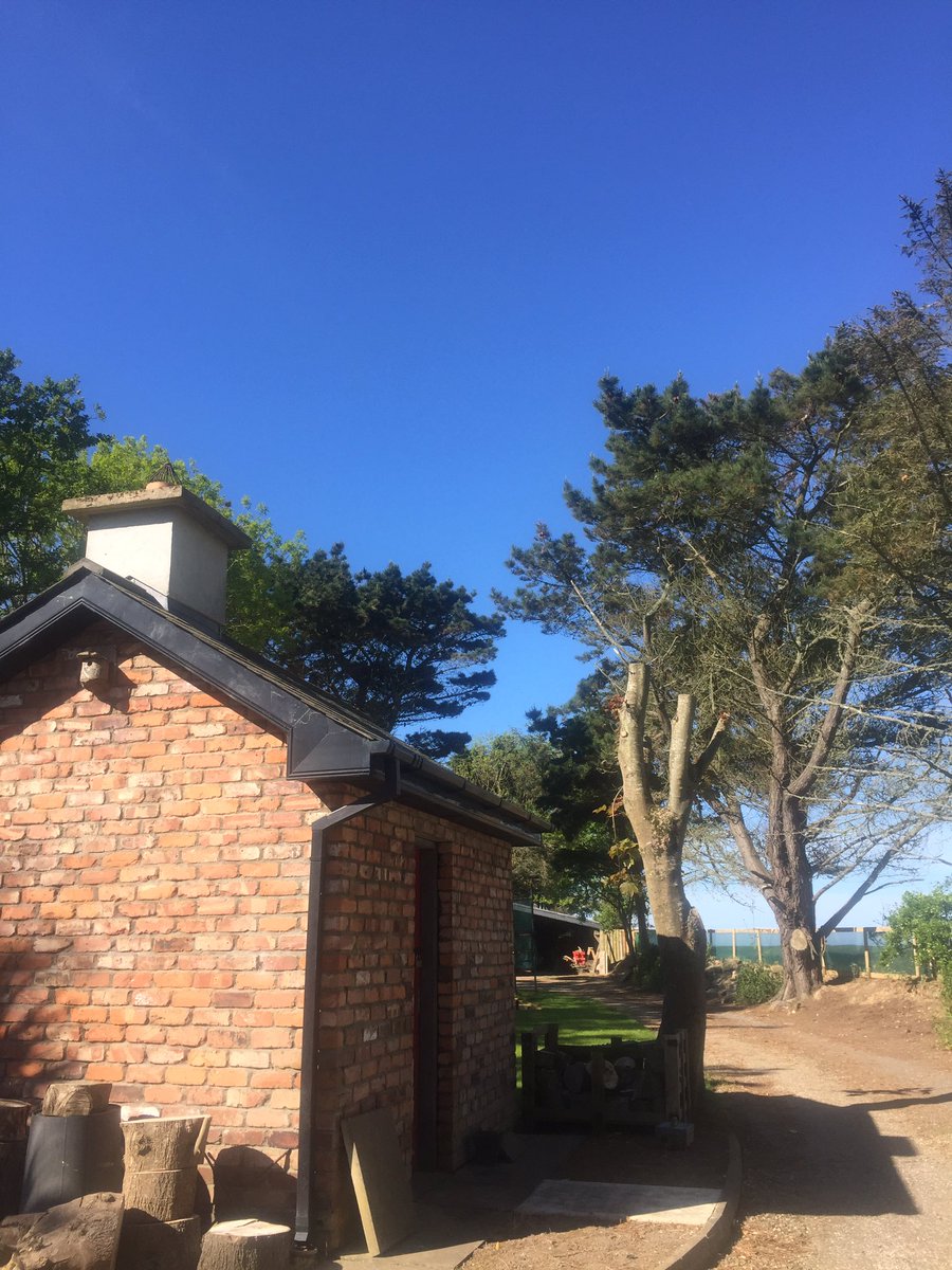 Day 2/7 life in pictures. Rules no people no words. Nominate someone new each day. Today I nominate <a href="/terror__billie/">Billie Jean Doheny</a>