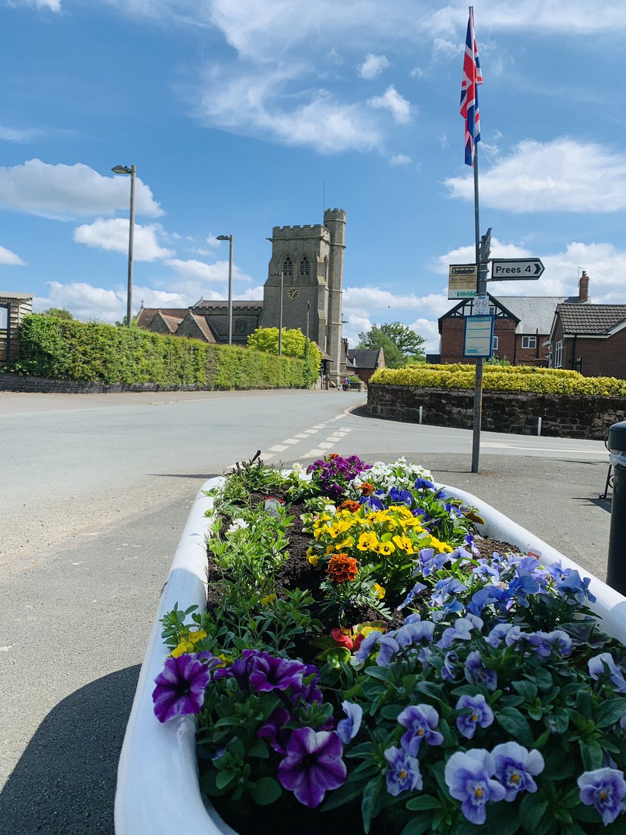 calverhall_in_bloom tweet media