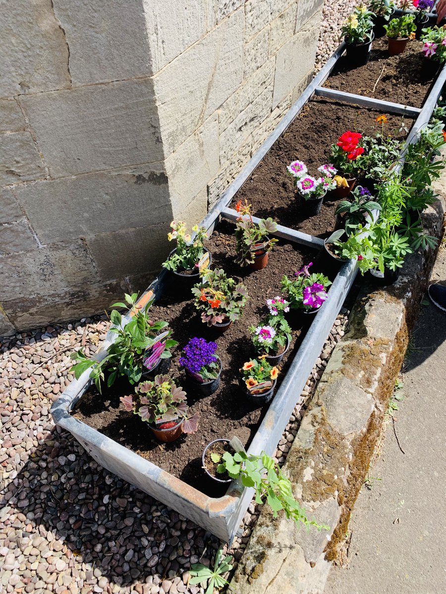 calverhall_in_bloom tweet media