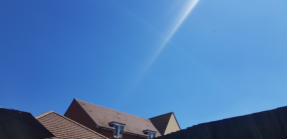 CogCouple's tweet image. #gearsofwar community, STOP !!!

Breath and go look outside. 

Get some vitamin D, its go for you and the mind.

#snackgang #benormal #stophating