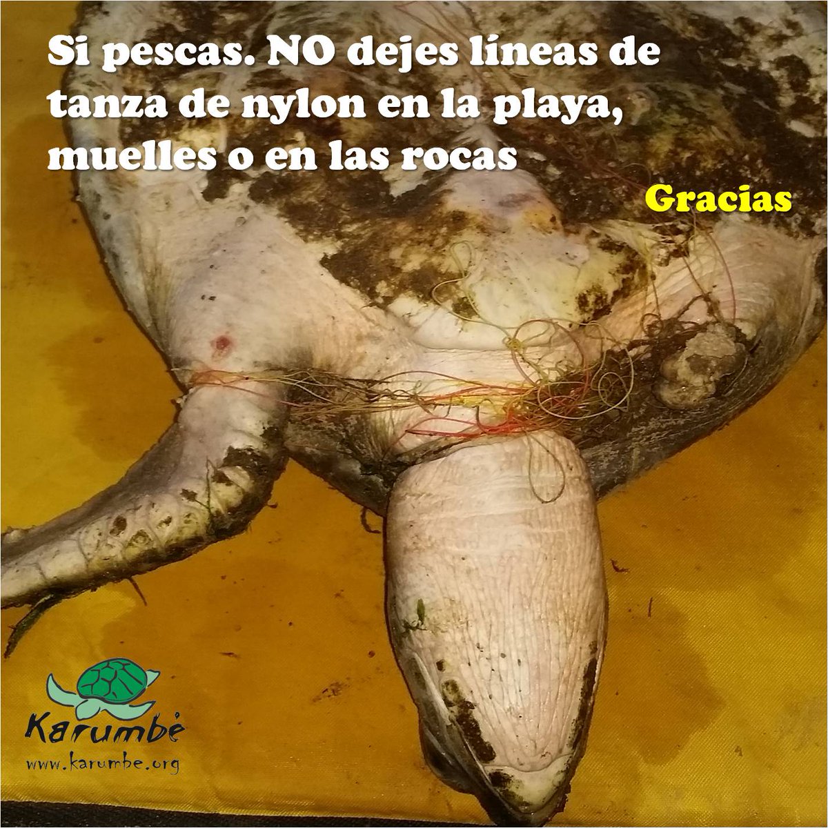 karumbeuy's tweet photo. No contamines. GRACIAS https://t.co/aoKVRJDHxs