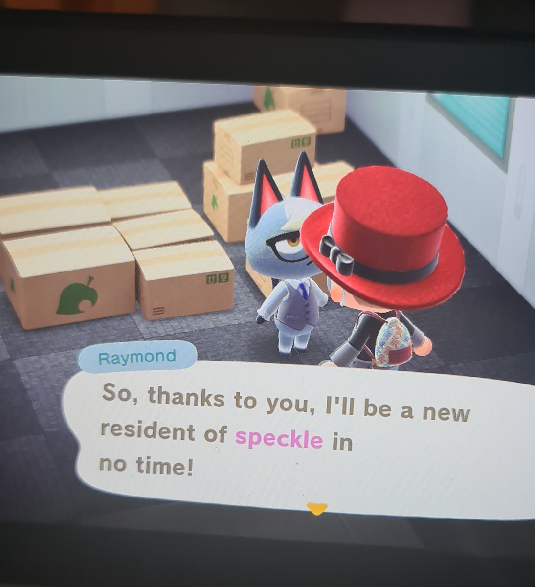 MarkHowells92's tweet image. We got him  #acnh #RaymondAnimalCrossing