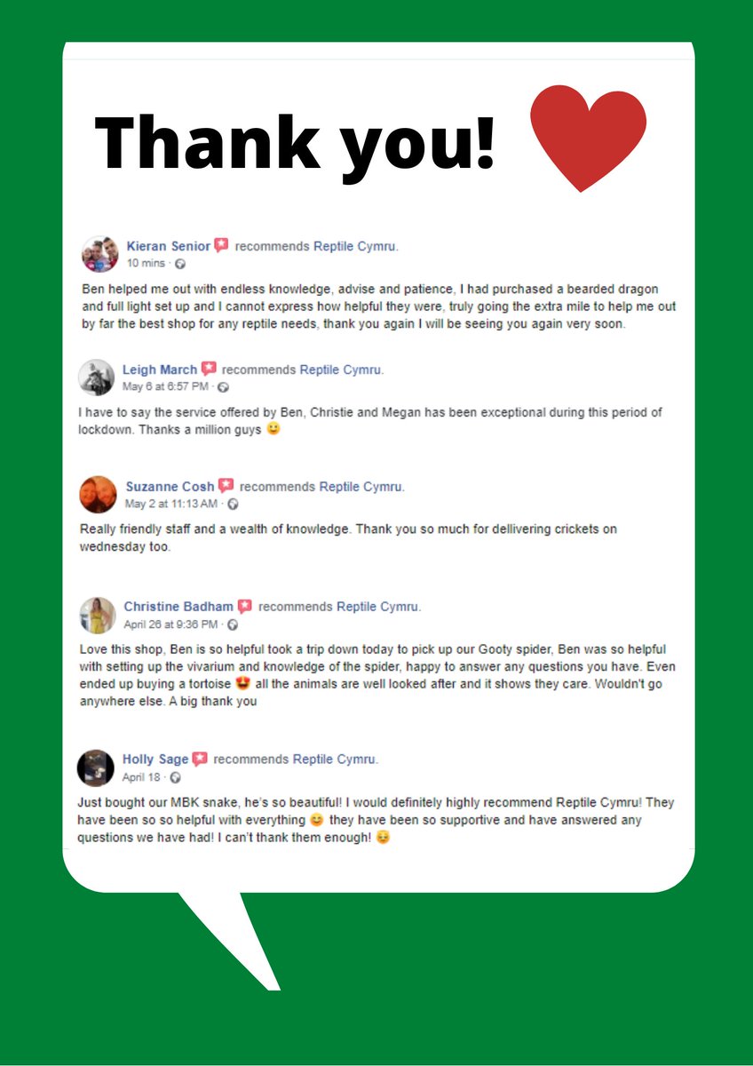 Reptile Cymru tweet media