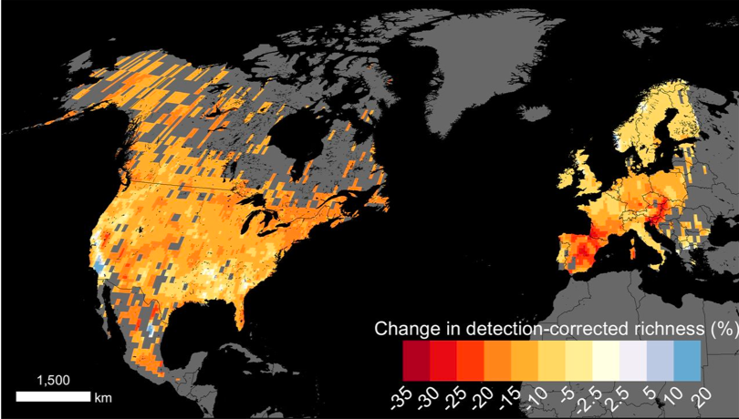 5/17 Climate change is also driving global bumblebee declines. Increasing weather events and extreme temperatures help push bees out of sync with flowers, which explains some of the dramatic losses. @PeterSoroye  @tnewbold31