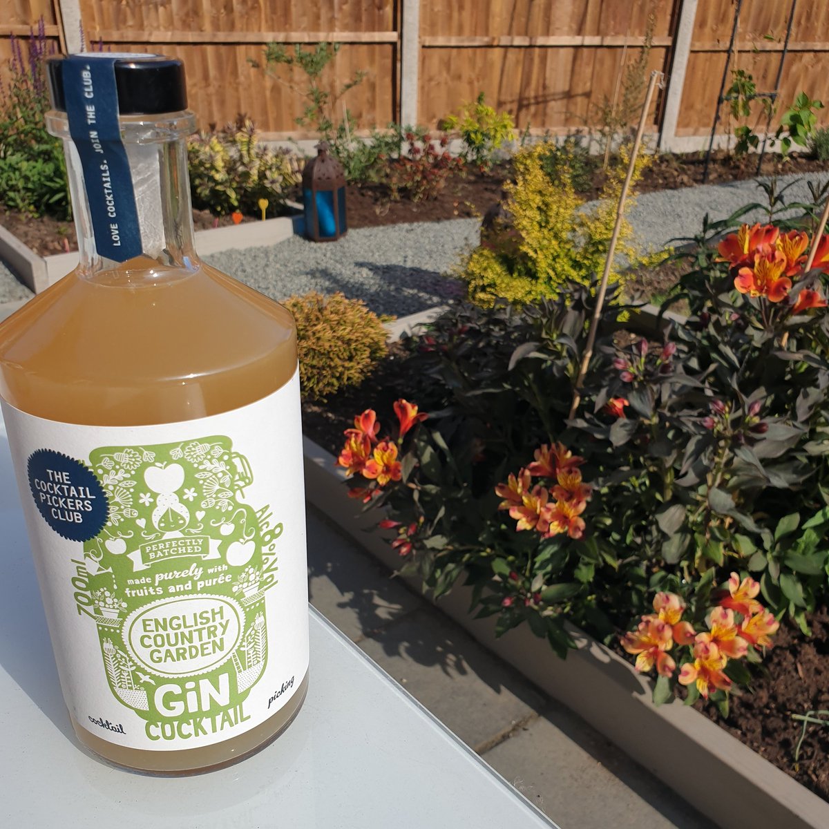 In It For The Holidays tweet media