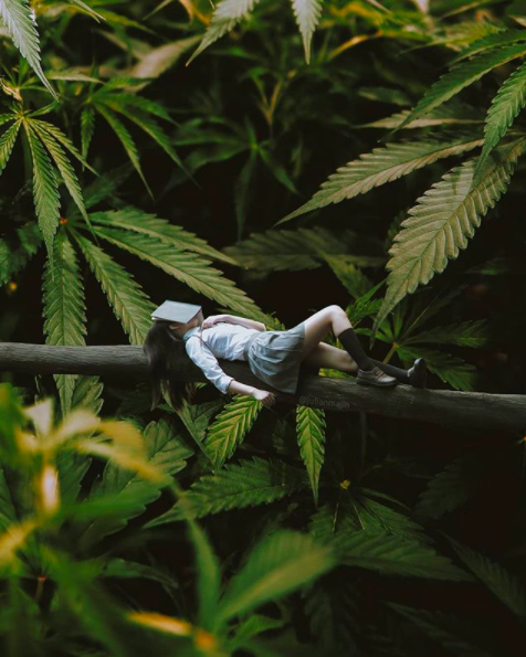 Treehouse_SC's tweet photo. Been getting lost in any good books lately? ππ
Tell us what you're reading! π€
#TreehouseDispensarySC #CannabisCreatingCommunity #JulianMajin https://t.co/rzLCXsRAks