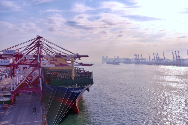 HMM America tweet media