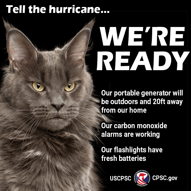 A cat with a very stern expression on its face. The text reads: Tell the hurricane... We're ready. Our portable generator will be outdoors and 20ft from our home. our carbon monoxide alarms are working. our flashlights have fresh batteries.