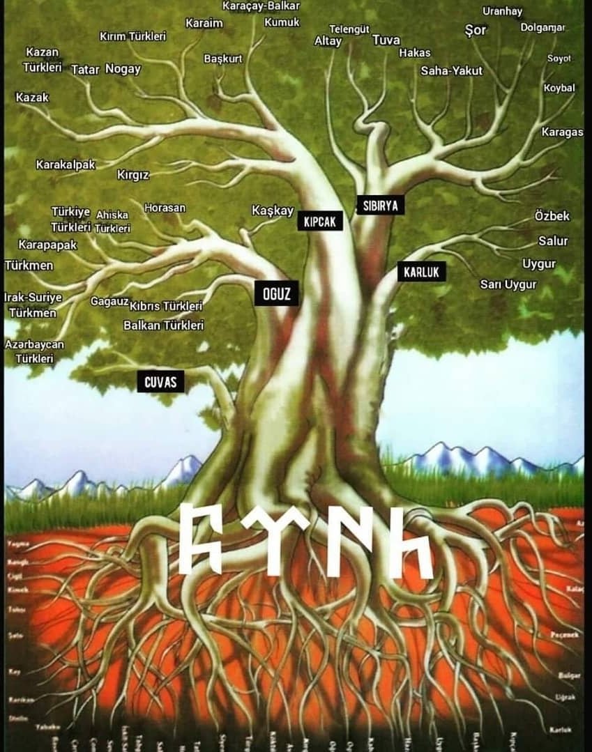 Türklerin Soy Ağacı.