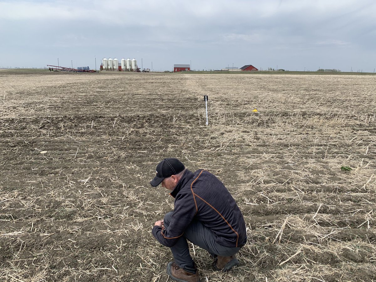 Richardson Pioneer tweet media