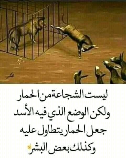 مروان الرشندالي (@marouan42224439) on Twitter photo 