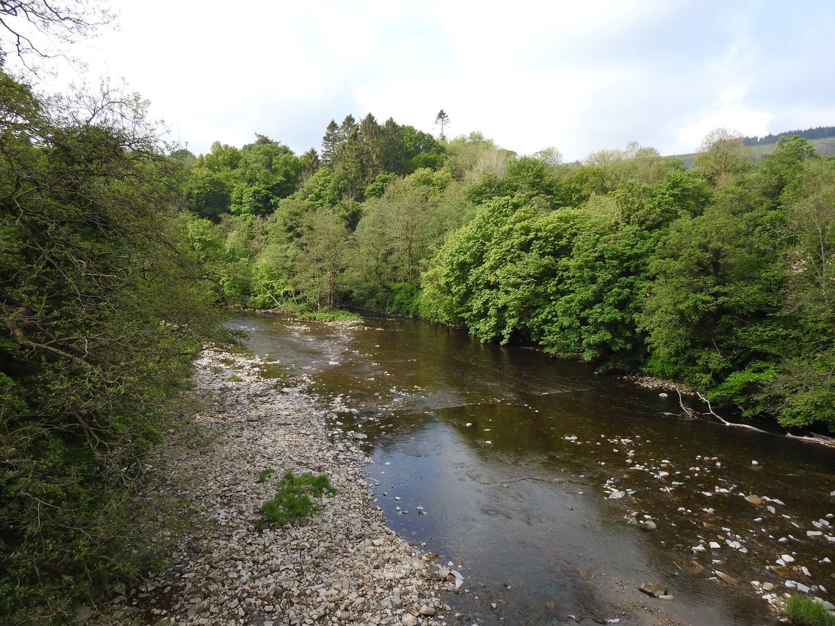 Jatty58's tweet photo. Back on the old Bowland stamping ground. 3 Redstart, 6 Pied Flycatcher, Dipper, Grey Wagtail, Common Sandpiper, LRP, Goosander, Red-breasted Merganser, Sparrowhawk amongst others. As always, beautiful scenery. #Bowland #RibbleValley #StocksRes #RiverHodder https://t.co/JZthZ2GItl