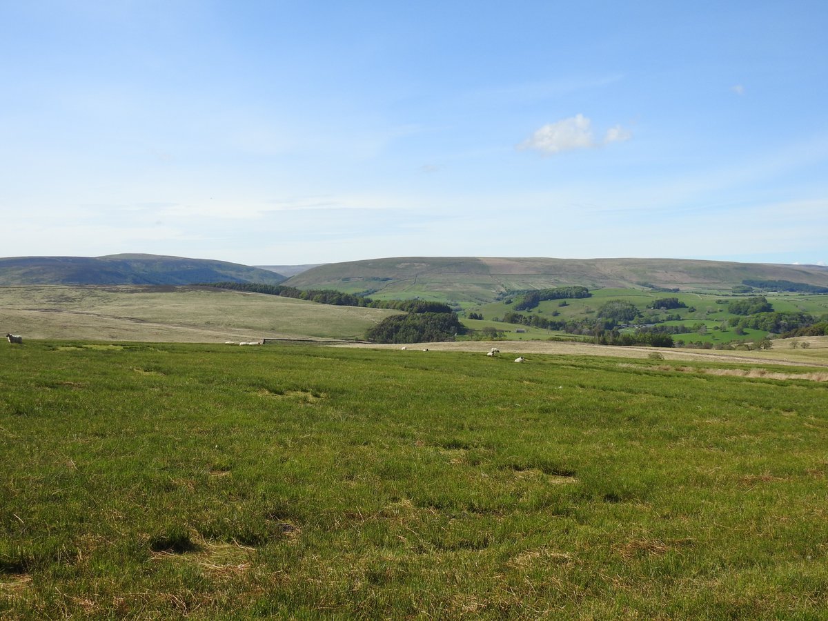 Jatty58's tweet photo. Back on the old Bowland stamping ground. 3 Redstart, 6 Pied Flycatcher, Dipper, Grey Wagtail, Common Sandpiper, LRP, Goosander, Red-breasted Merganser, Sparrowhawk amongst others. As always, beautiful scenery. #Bowland #RibbleValley #StocksRes #RiverHodder https://t.co/JZthZ2GItl
