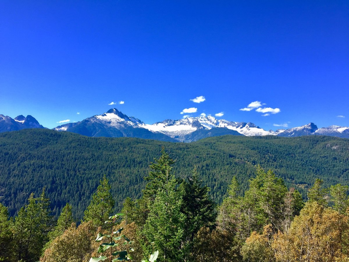 TreeCanada's tweet photo. #TreeTool! The movement to conserve more of #BC's #forests based on their ability to #sequestercarbon gets a new tool!
👉https://t.co/y8tI9XPDia https://t.co/V1KVJv9fbc