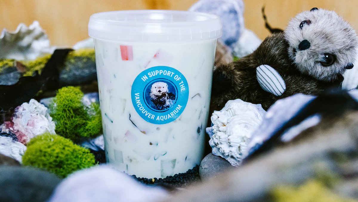 Have you heard about the new #ChefsforVancouverAquarium fundraiser? A collective of chefs is cooking and selling sustainable seafood chowders to help #SaveVancouverAquarium! 😊💙 fal.cn/38dsY