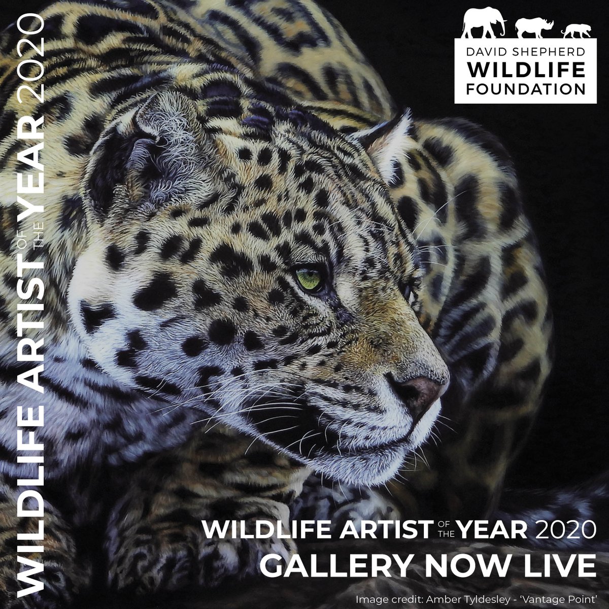 DSWFWildlife's tweet photo. Wildlife Artist of the Year 2020 is NOW LIVE!

This internationally renowned wildlife art competition and exhibition is now live on our new website. All artworks are for sale via our website aid in our work to protect endangered wildlife across Africa and Asia. https://t.co/EKzluK05GK