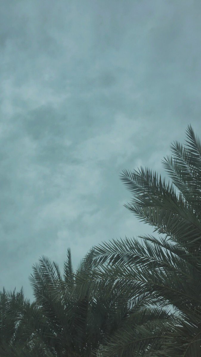 😍💕 #المدينه_المنوره