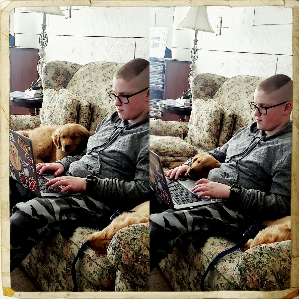 Karmabear3's tweet photo. School work I want to learn. My dog's smart than your dog. https://t.co/ohJ5LhdLHz
