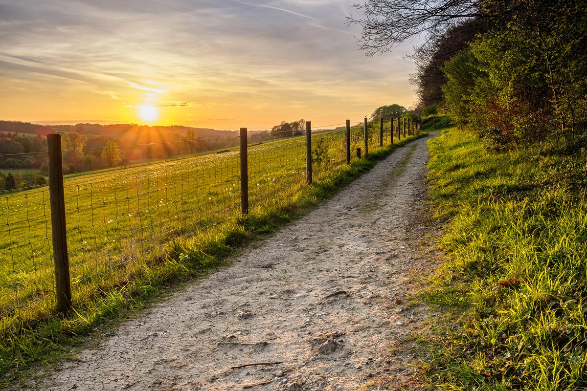 Helena Margaret Mayne tweet media