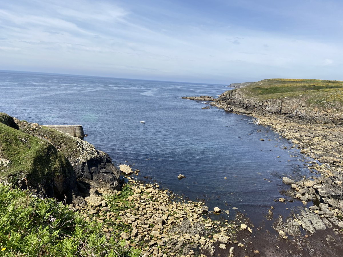 loic_bourdon's tweet photo. #rendeznouslamer nous en ferons bon usage! Pors Loubous Plogoff Cap Sizun... loin de Panam et de son métro, Le Breton respire et pêche... https://t.co/gAVjRtVYnj