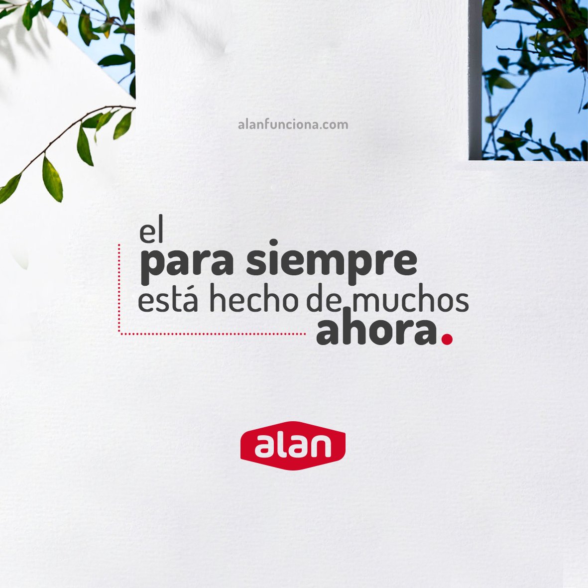 AlanFunciona's tweet photo. #AlanSiempreFunciona https://t.co/4NWF39TsmY