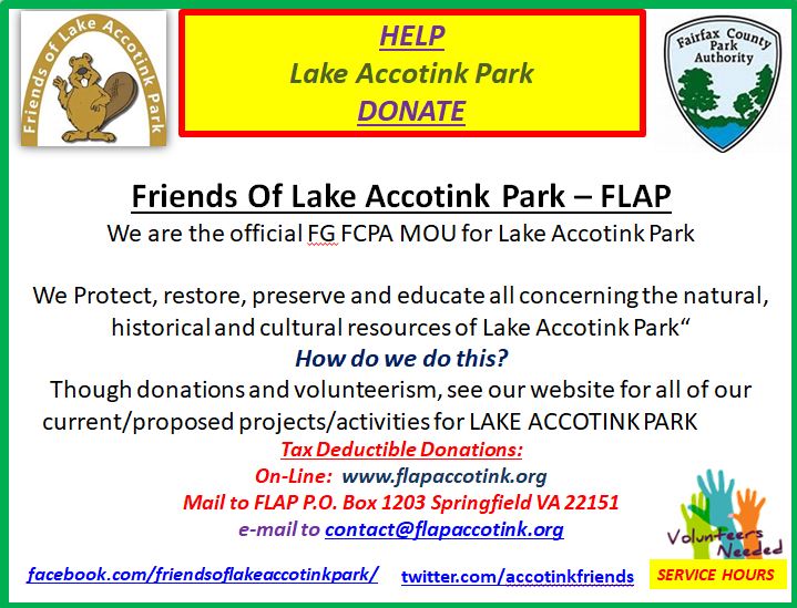 AccotinkFriends's tweet photo. You can now donate to FLAP through Paypal on our website https://t.co/OEm2j4BC3E! All donations are tax deductible and go directly to improvements at Lake Accotink Park. https://t.co/0ona1SGiqh