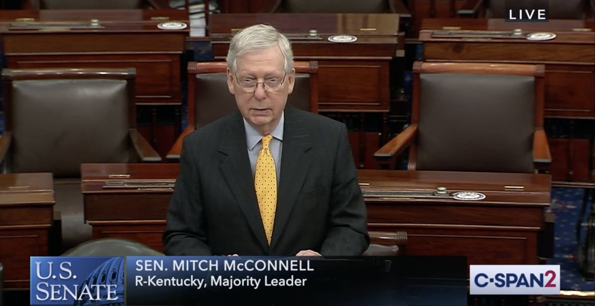 Screenshot of Majority Leader Mitch McConnell standing on the Senate floor.
