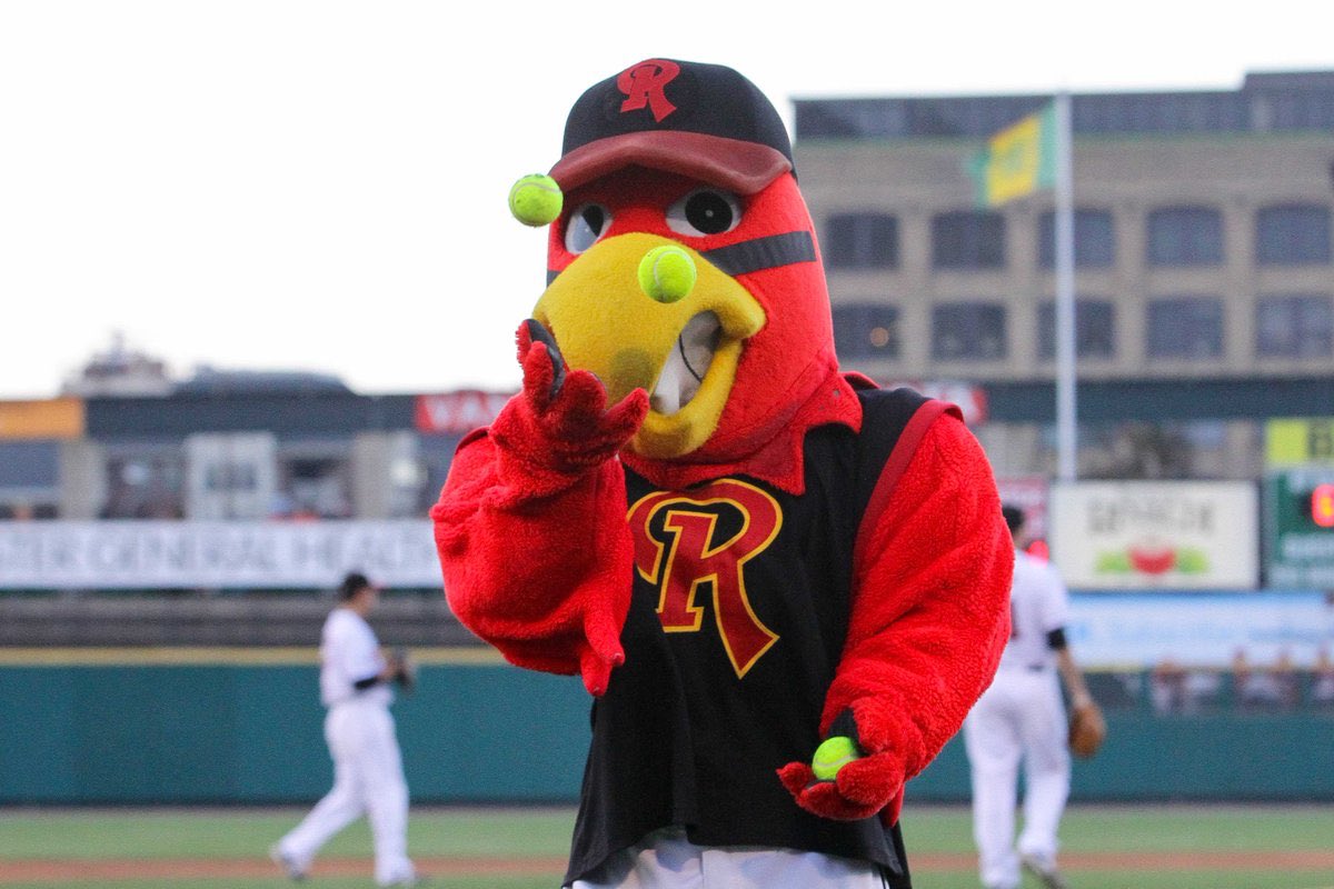 Rochester Red Wings on X: Everybody point to the best mascot in @MiLB.   / X