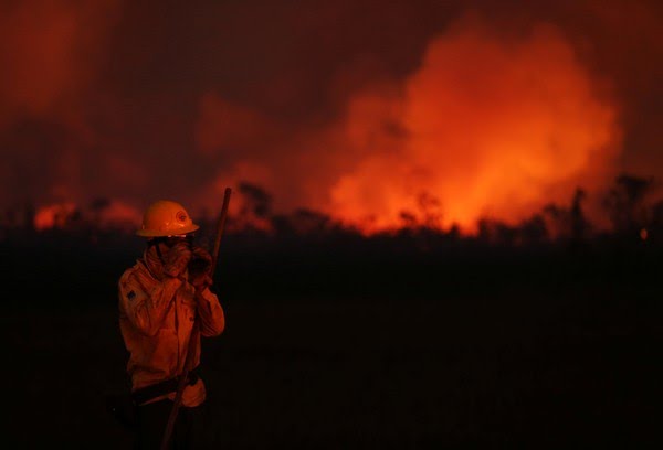 F4FBrasil's tweet photo. Em janeiro de 2020, 197 casos de focos de incêndio foram registrados. Já em fevereiro, foram 73 focos contabilizado pelo Inpe.
O número, segundo o levantamento feito pelo Inpe, representa o maior índice registrado desde 2016, quando o recorde de 906 focos foi constatado. https://t.co/c0hzEPddWl