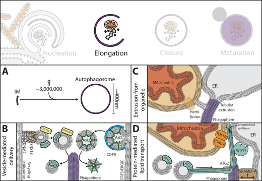 Journal of Cell Biology tweet media