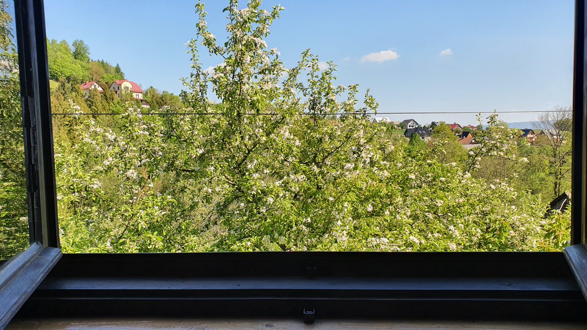 The view from my window