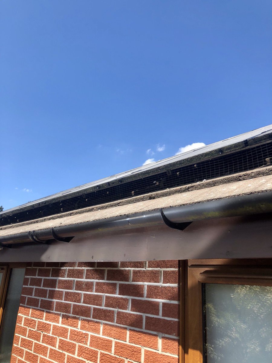 GemSolutionsUK's tweet photo. Bit of pest control today, for a customer we installed for 3 years ago. It’s one of those jobs where less is more. Also in black to match the array. If your having pigeon problems give us a call. https://t.co/O07SXZlXLy