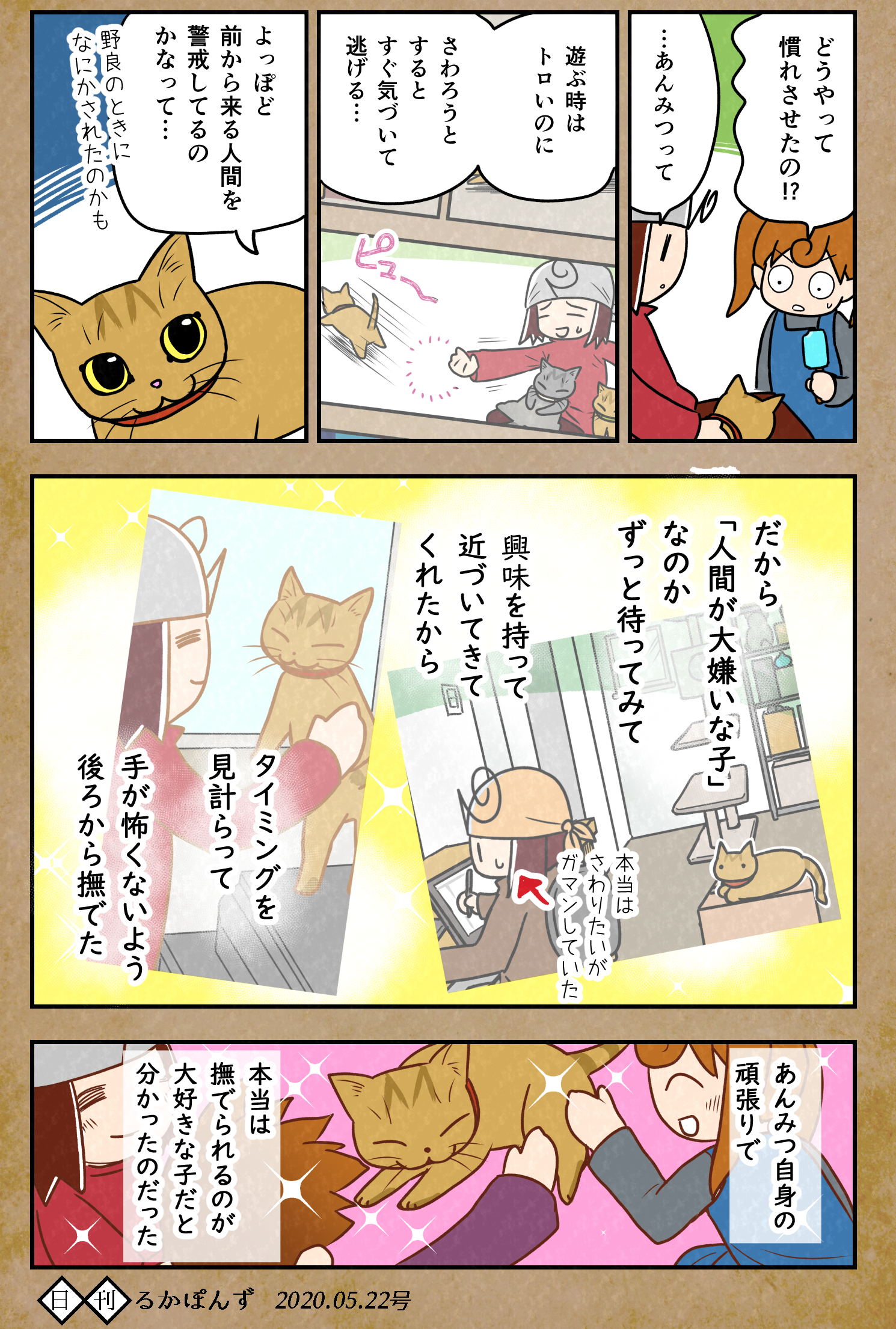 るかぽん マンガ描く人 11月おもバザ神保町 コミティア参加 猫マンガ 保護した猫がなつくまで試行錯誤した話 10 次回で終了予定 保護猫３兄妹 猫 ネコ漫画 コミックエッセイ 猫まんが ペット漫画 T Co Kur2ftjcpp Twitter
