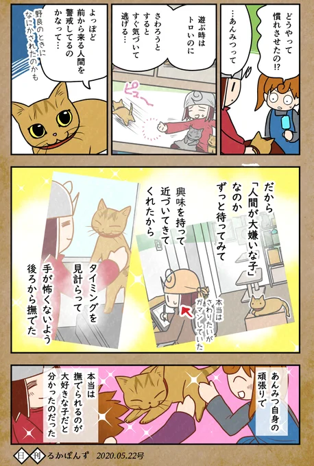 【猫マンガ】保護した猫がなつくまで試行錯誤した話_11
(終了)

#保護猫3兄妹 #猫 #ネコ漫画 #コミックエッセイ #猫まんが #ペット漫画 