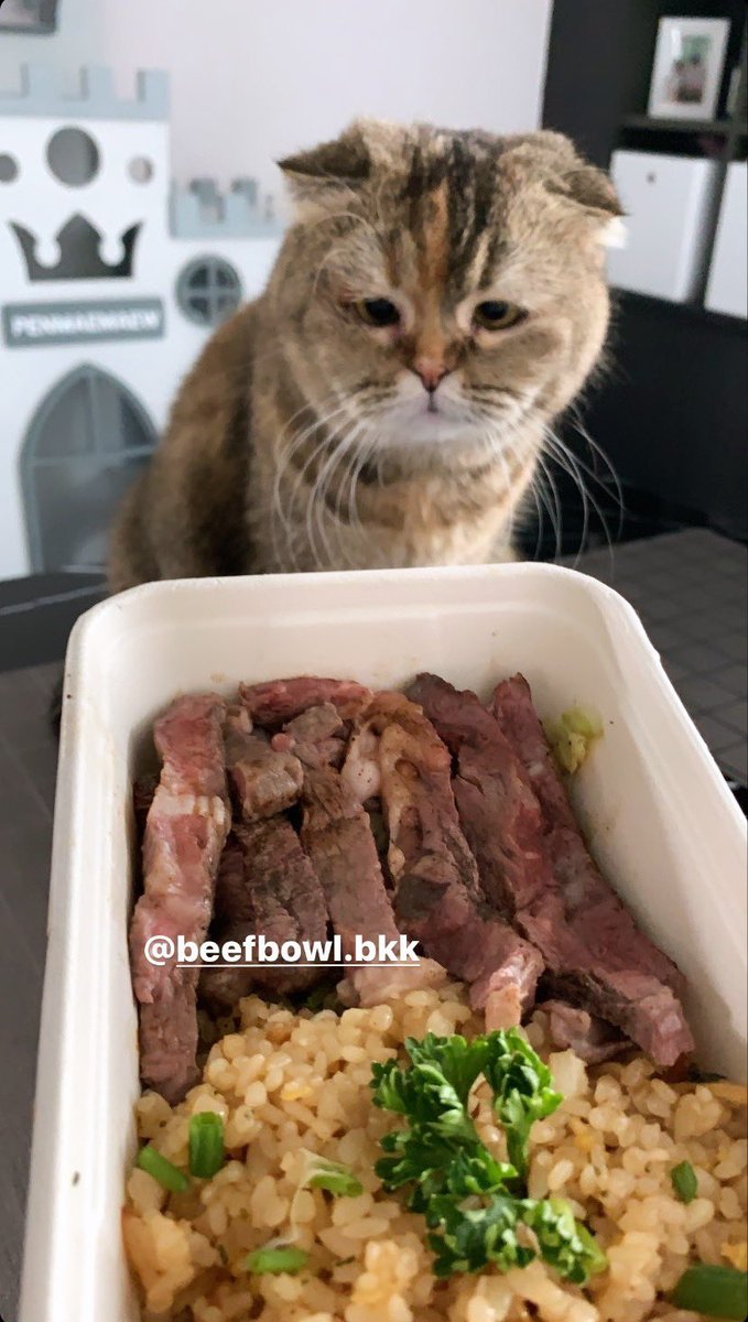 BeefbowlBkk's tweet photo. ขอบคุณรีวิวจากคุณ @Bonusiie ค่า 💖 https://t.co/Ew3srRV6Sa
