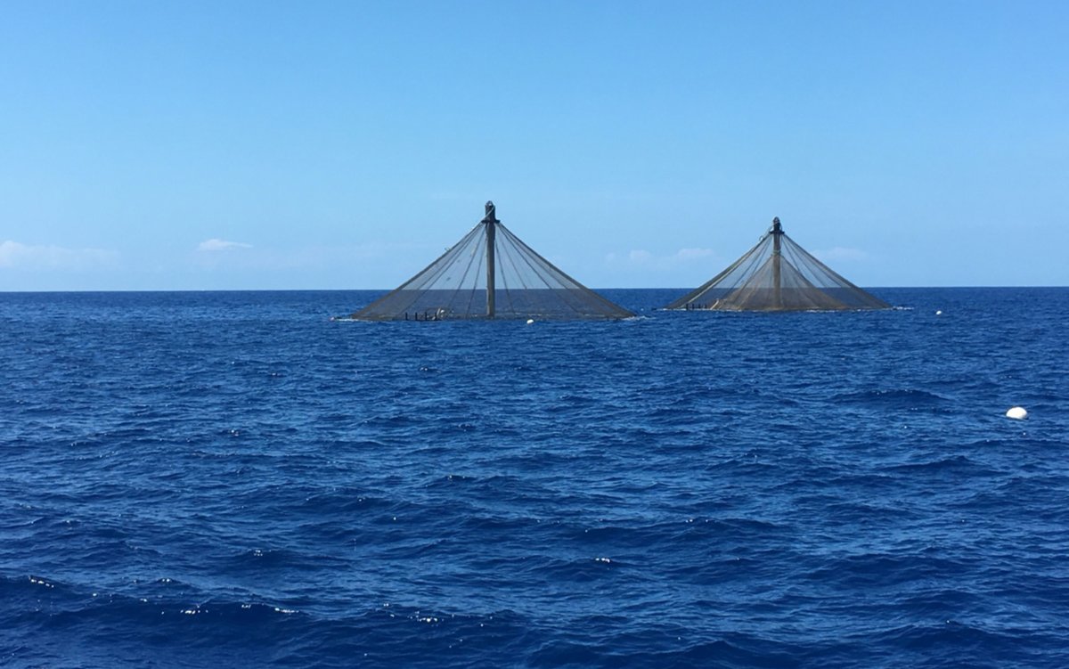 Innovasea (@innovasea) on Twitter photo Politicians on both sides of the aisle are looking to untangle the maze of regulatory requirements for #aquaculture in the U.S. Is it enough? Innovasea CEO David Kelly takes a look in the #InnovaseaInsights blog. #AQUAAAct <a href="/CongPalazzo/">Steven Palazzo</a> <a href="/SenatorWicker/">Senator Roger Wicker</a>
ow.ly/IFgv50zLwQl Politicians on both sides of the aisle are looking to untangle the maze of regulatory requirements for #aquaculture in the U.S. Is it enough? Innovasea CEO David Kelly takes a look in the #InnovaseaInsights blog. #AQUAAAct <a href="/CongPalazzo/">Steven Palazzo</a> <a href="/SenatorWicker/">Senator Roger Wicker</a>
ow.ly/IFgv50zLwQl