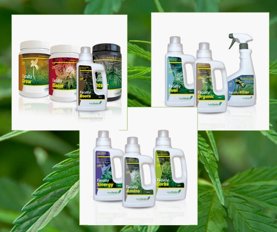 GreenFacultyBCN's tweet photo. Ahora tienes disponibles nuestros Packs Promocionales de Cultivo con un Precio Increíble!! 
Ahorra más de un 25% con nuestros kits. 🤩
Disponibles en Amazon y en nuestra Web:
https://t.co/XAn0o8GqGi
https://t.co/jOweAd6QQH
#autocultivo #marihuana #cannabis #cannabisculture https://t.co/SUUKeo9GwL