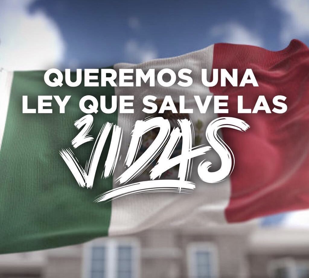 Titoshca's tweet photo. Siempre que defendamos la vida México gana un gran patriota. Vamos diputados es por México  #SLPesPROVIDA #MexicoEsProvida https://t.co/d3dAQnUZg9