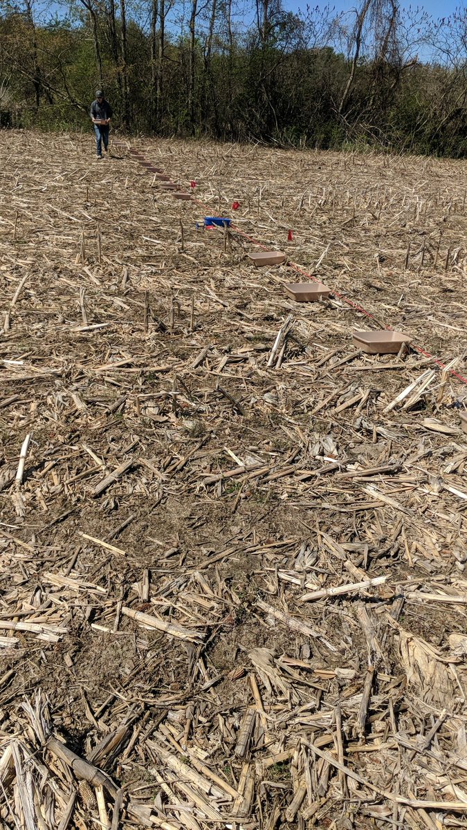 TheSandFarmer's tweet photo. Pan testing for 100' @jrathjen88 https://t.co/8WApi5Mjlh