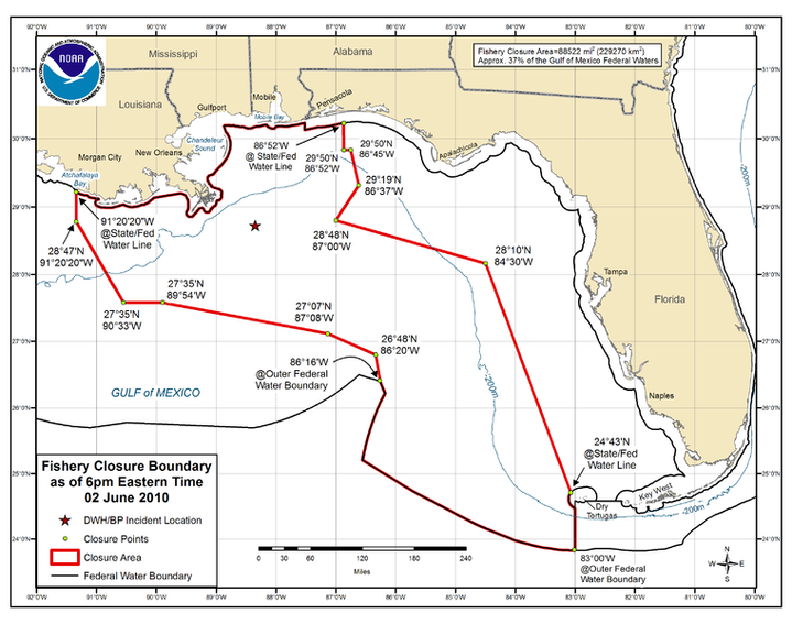 MobileBaykeeper's tweet photo. #OTD 10 years ago: #Titanic director James Cameron assisted the oil clean-up process in the Gulf of Mexico . #BPoildisaster https://t.co/ZQQkNE46Y6